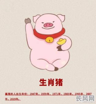 2025年属猪人考科三六月吉日:精选吉日助你顺利通过考试