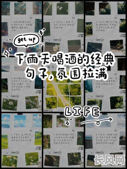 2025年雨天品酒指南:探索雨水天的吉日奥秘与饮酒乐趣