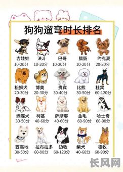 2025年最佳抓狗吉日全解析:精选吉日助你顺利抓狗