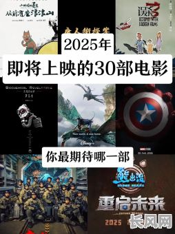 2025年熊出没的吉日是哪几天?详细解析与查询