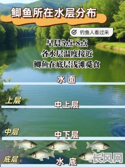 2025年钓鱼吉日查询:精选全年最佳垂钓良辰推荐
