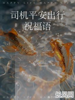 11月最佳出行吉日推荐,助您旅途顺利平安,不容错过!