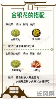 茶道吉日金银花:探索传统茶道与吉祥花卉的完美结合