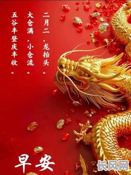 二月二龙抬头吉日:探寻传统节日中的吉祥时刻与美好寓意