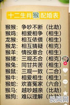 最佳属猴的结婚吉日推荐及挑选方法