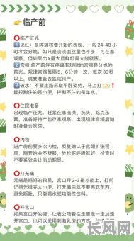 如何选择最合适的生孩子吉日吉时,专业指南助您一臂之力