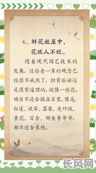 选择楼房做大门吉日：重要日子风水选择指南