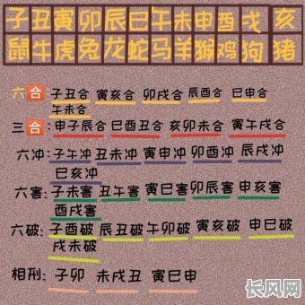 丽水易经择吉日：专业风水服务，助您选吉日，开启好运之门