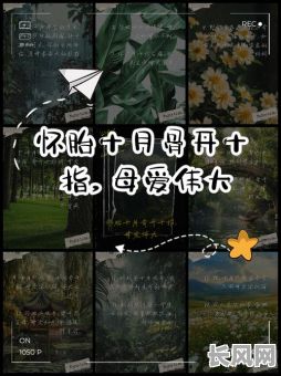 10月产子吉日推荐:寻找十月分娩最佳选择
