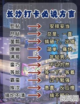 长沙言吉日语知乎:深度解析长沙言吉日语教学优势与知乎用户评价